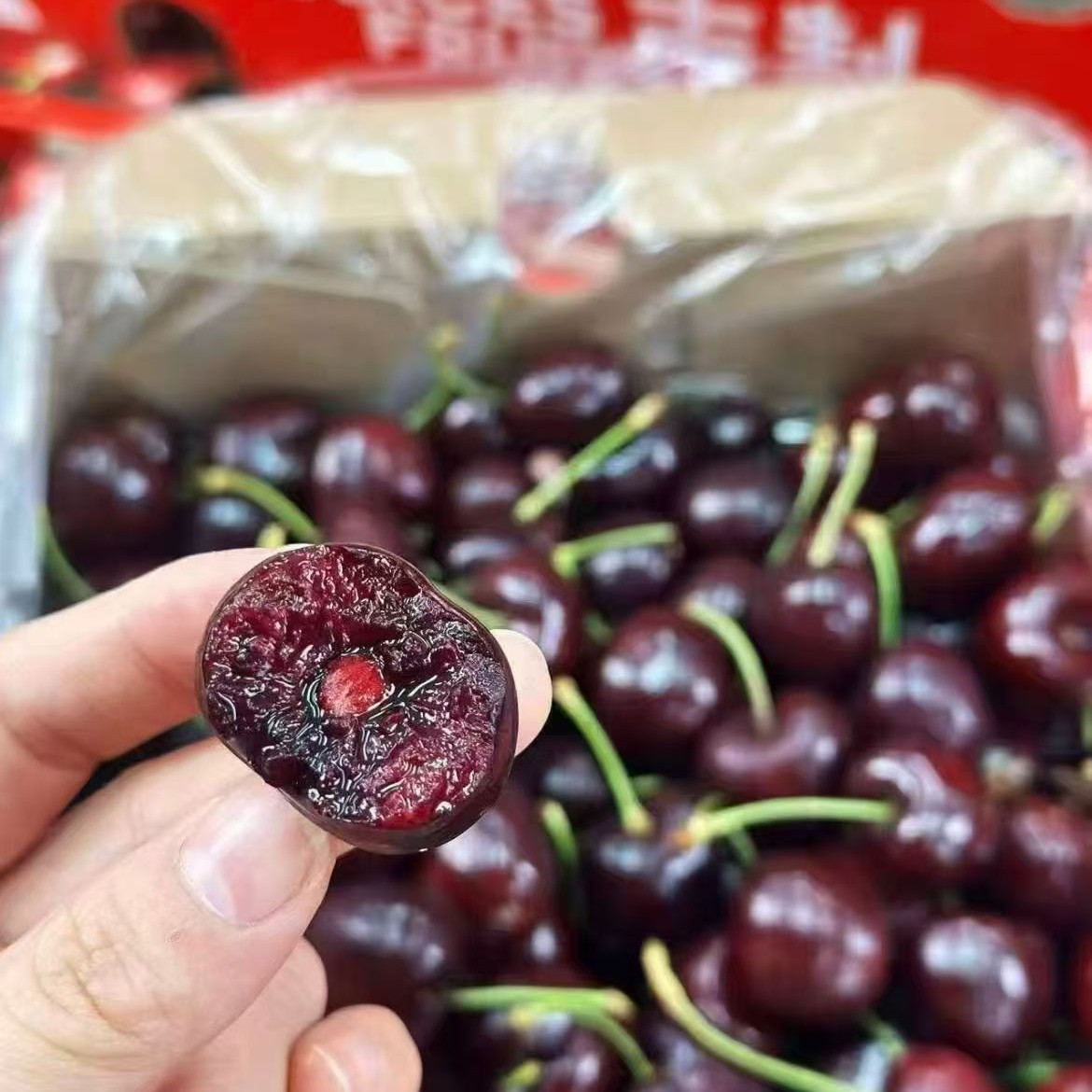 智利海运桑缇娜车厘子3JD车厘子 2.5-5斤装智利桑提娜智利