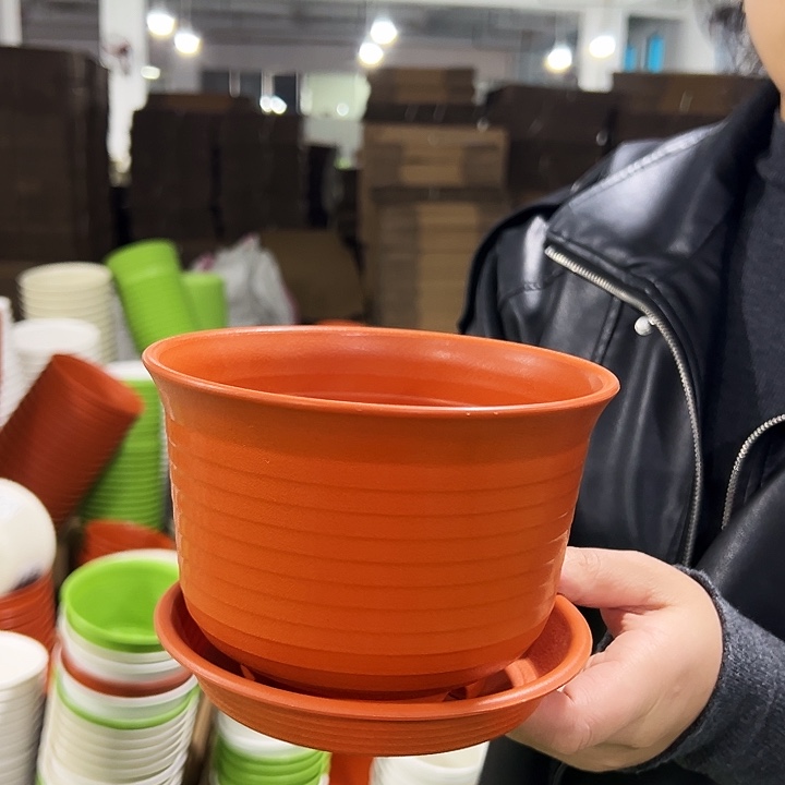 正品矮陶口15高11白色10个带托