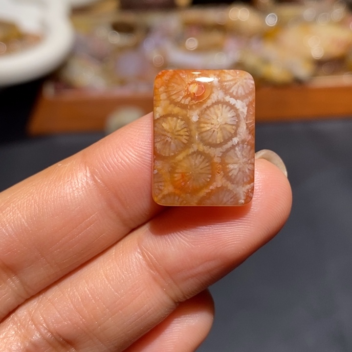 【闪购商品】未镶嵌珊瑚玉硅化玉