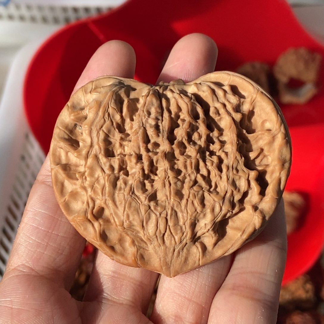 桃核吊坠59尺寸桃心扁