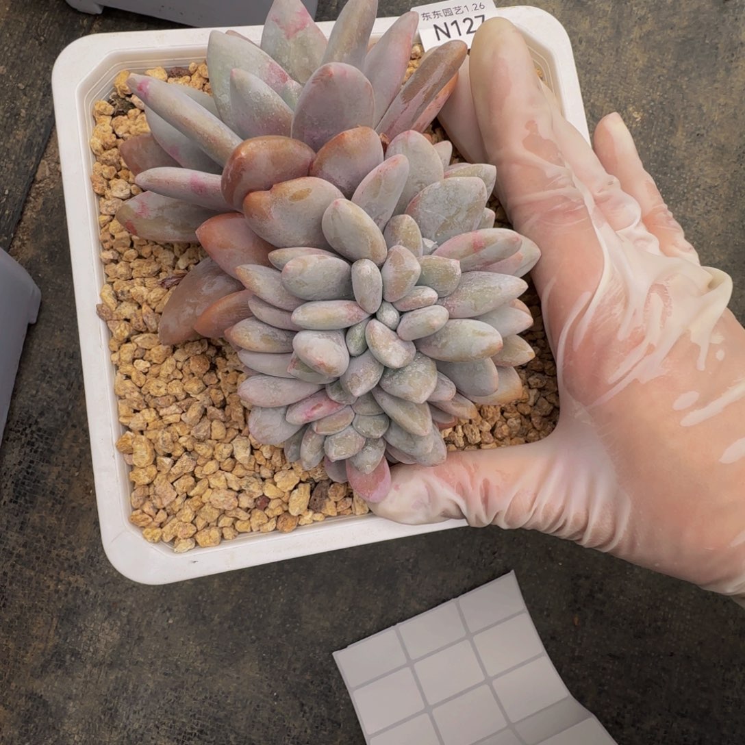 n n n n n n n n n n n 127