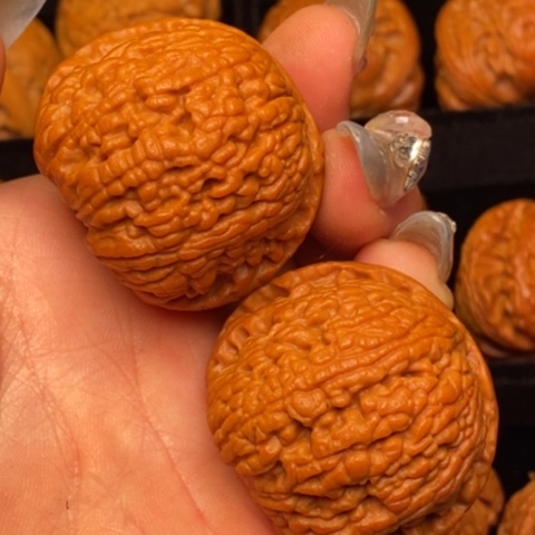 文玩核桃把件秦岭山脉核桃