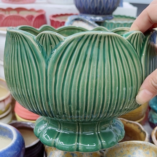 多肉绿植陶瓷花盆