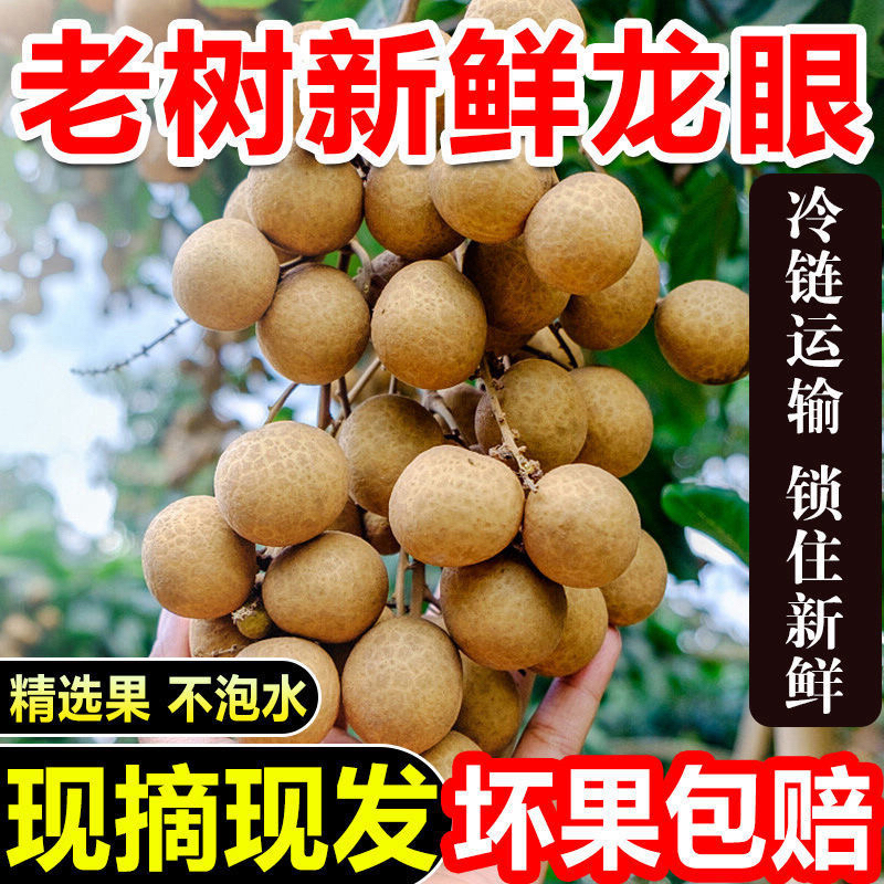 原产地新鲜石硖龙眼当季现摘爆甜多汁水果9斤装（新疆内蒙西藏不接