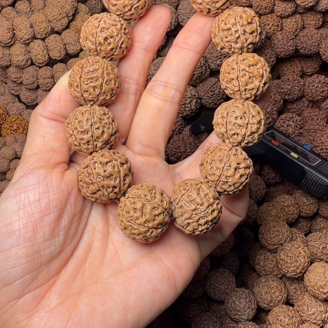 金刚菩提手串7瓣卡22尺，25号