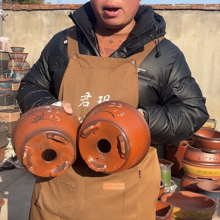 紫砂紫砂花盆盆栽