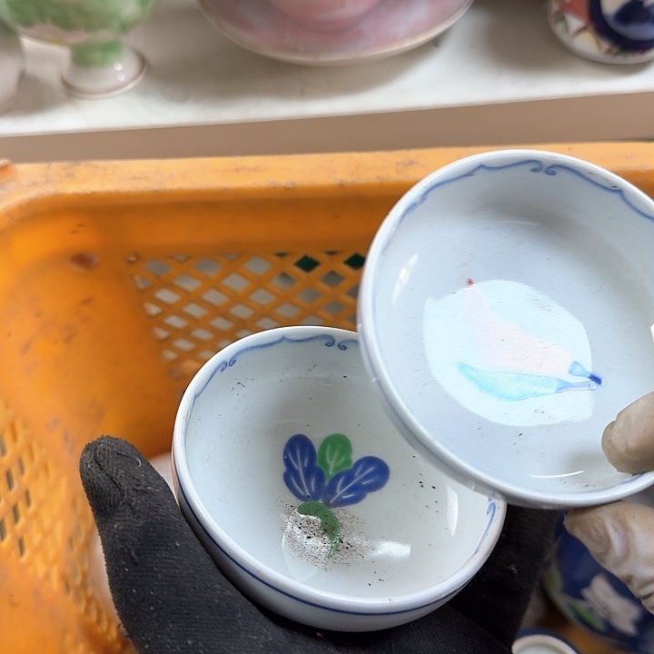 碗开播啦….开播啦