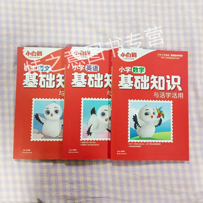 小白鸥正版基础知识语文数学英语小学一二三四五六年级与初中衔接