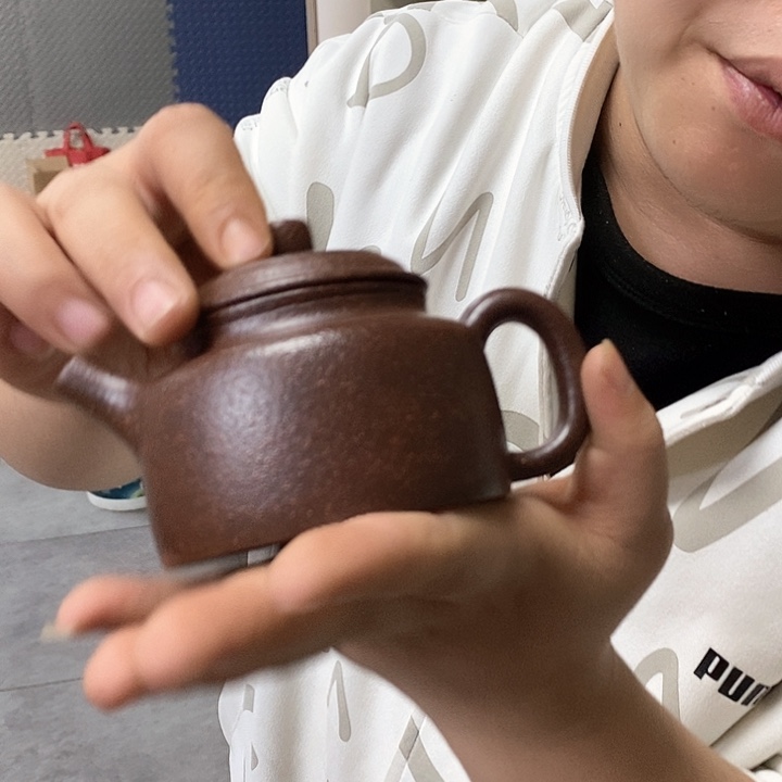 紫砂茶壶紫砂的艺术