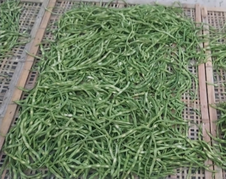 东北特产油豆角丝