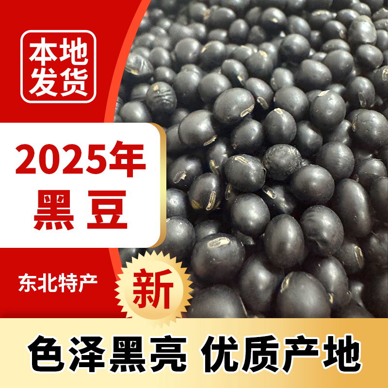 吉林黑豆打豆浆专用养生黑豆生豆芽五谷杂粮