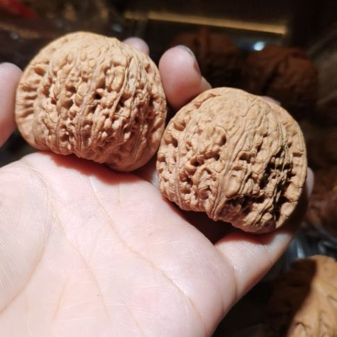 猴头核桃吊坠45泥鳅背