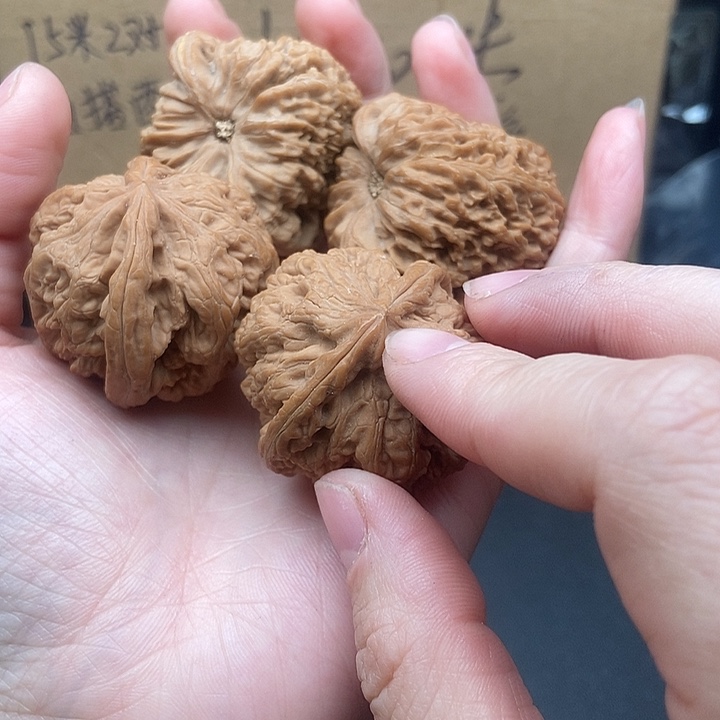 云***客大大大大大大粗筋南疆