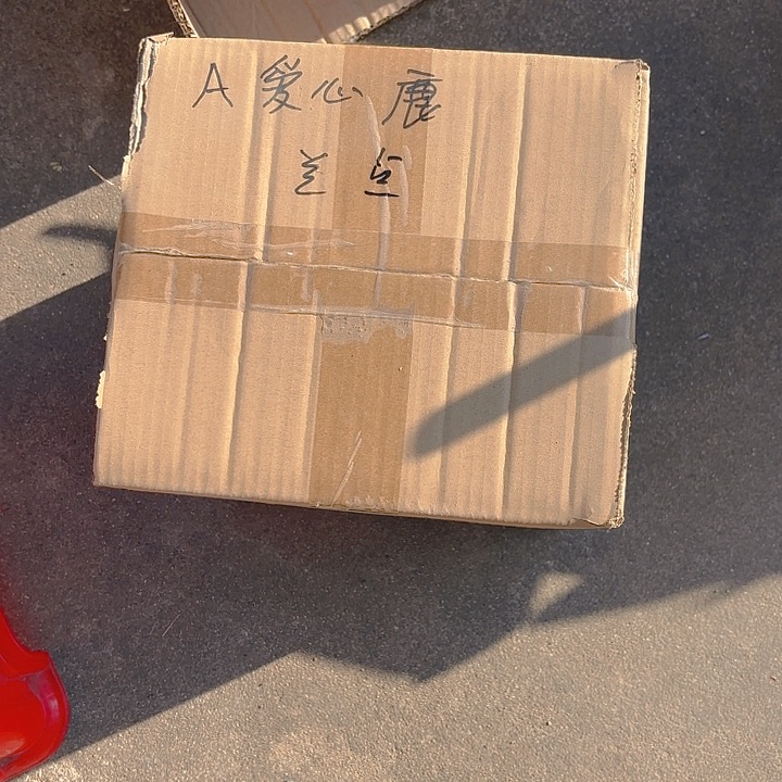 瓷片样品样品样品
