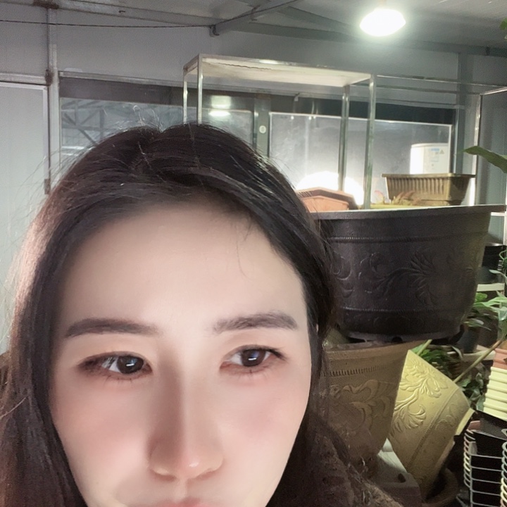 圆50口径花盆一个