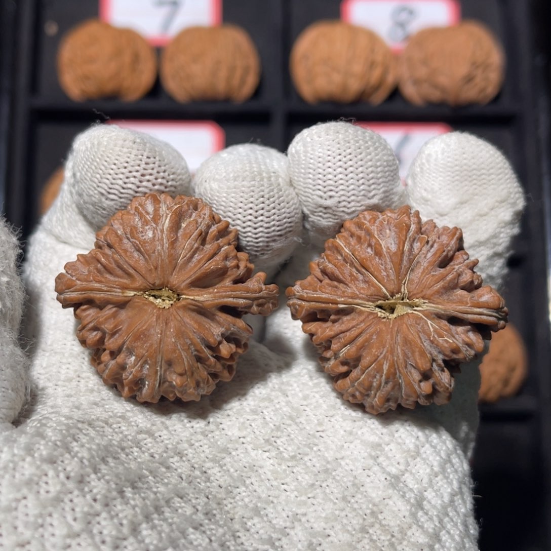 ****健吊坠文玩核桃04秦皇岛山地果全品