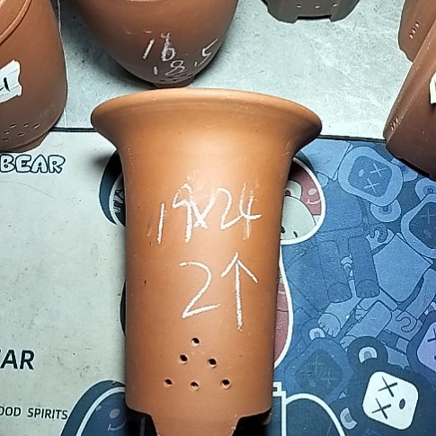 大红兰花两个花盆