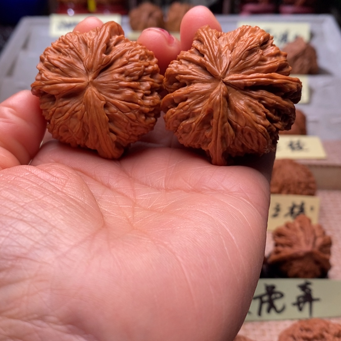 骄***拉文玩核桃把件白獅子球连