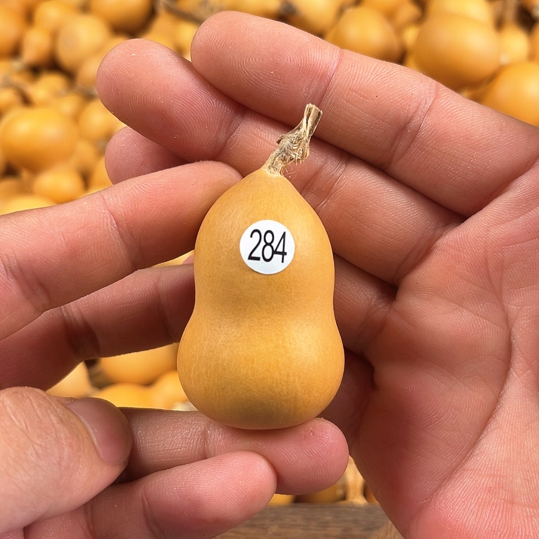 二葫芦葫芦葫芦284