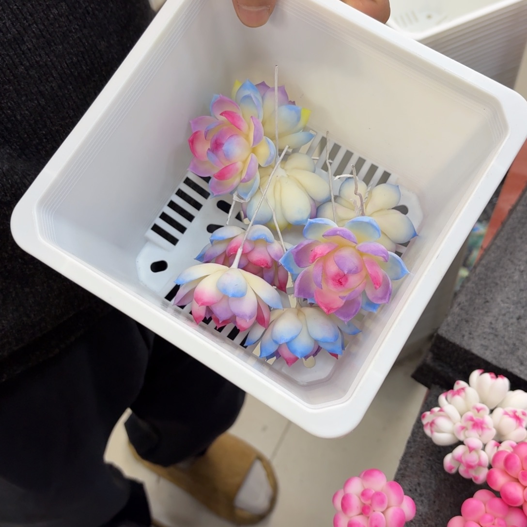 丫***蛙树脂制品50号莫莫莫