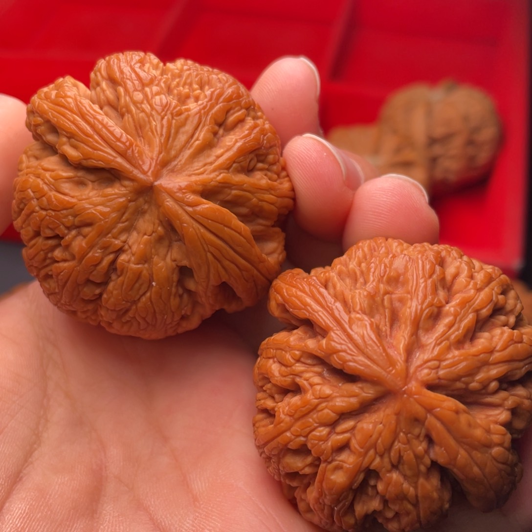 文玩核桃把件秦岭山脉