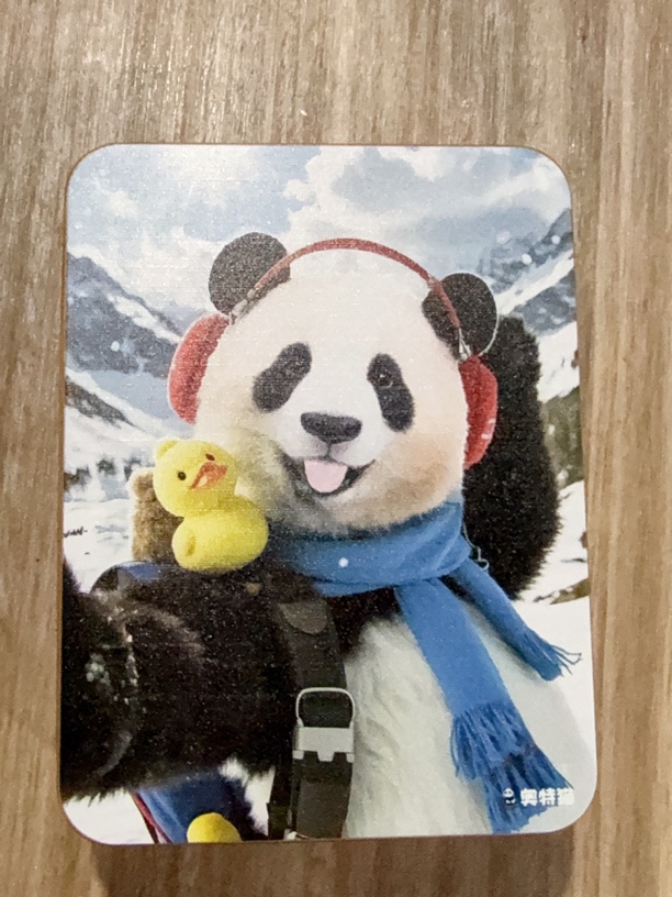 福宝雪中自拍DIY铁盒糖果盒