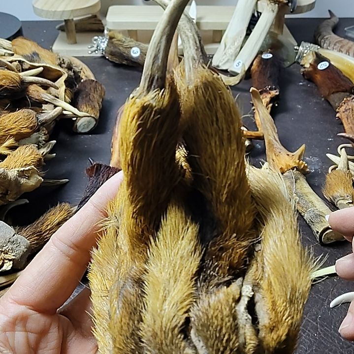 鹿缘坊直播间选货