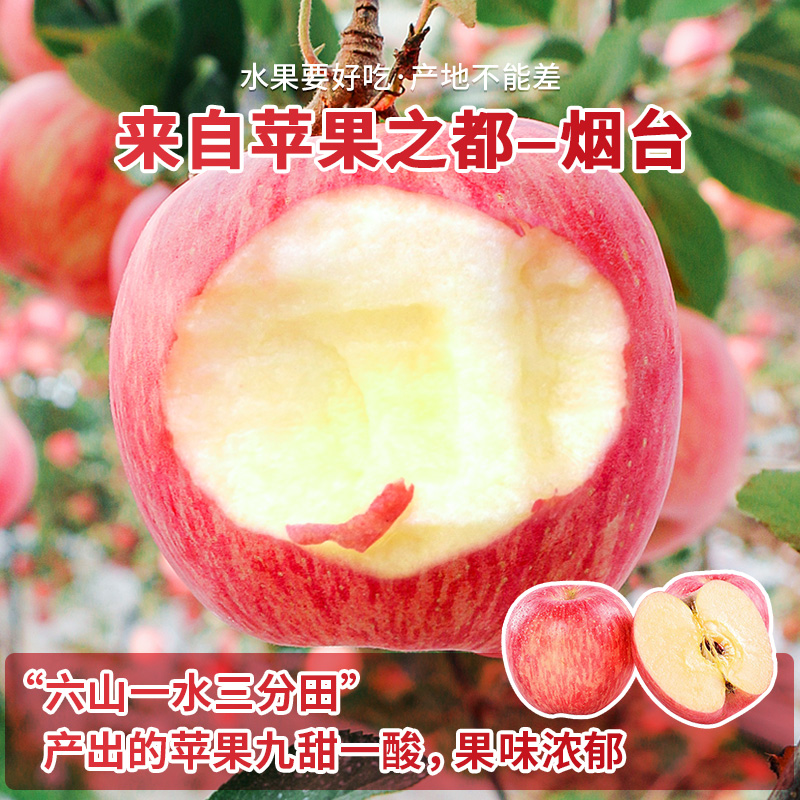 鲜声烟台红富士苹果新鲜水果产地直发栖霞苹果整件包邮