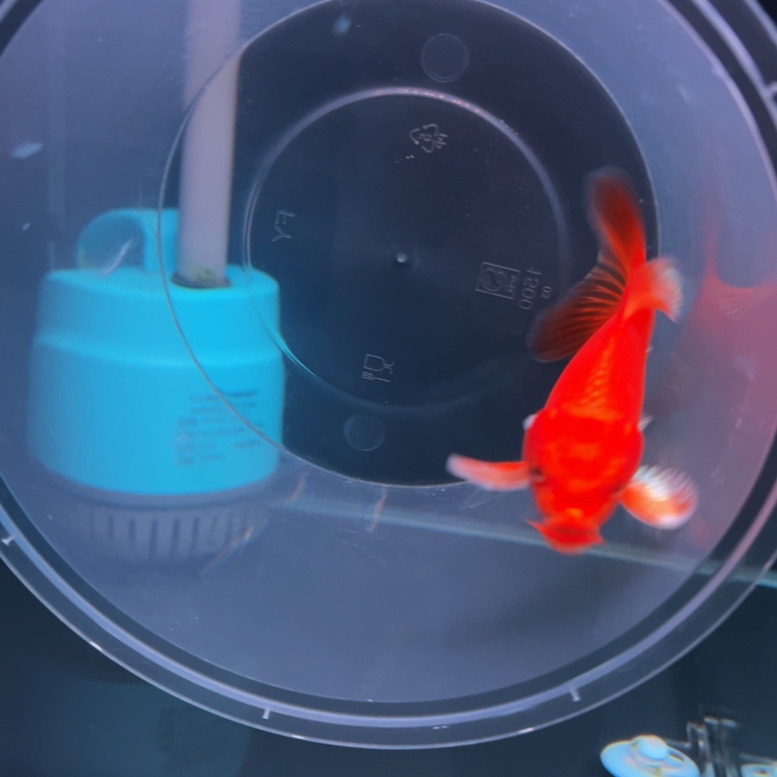 海水鱼美**真哈哈哈哈哈哈哈哈哈