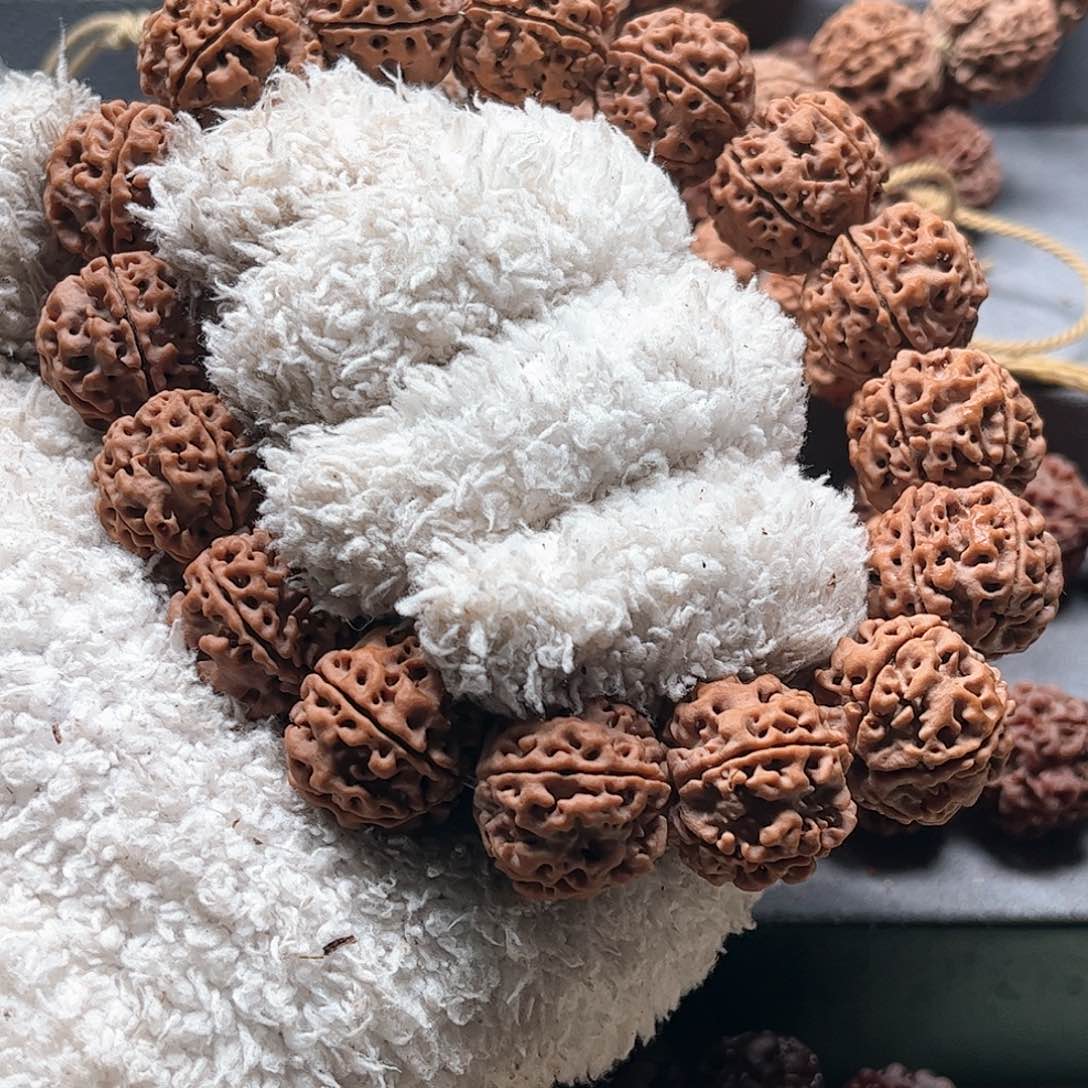 金刚菩提手串21福利