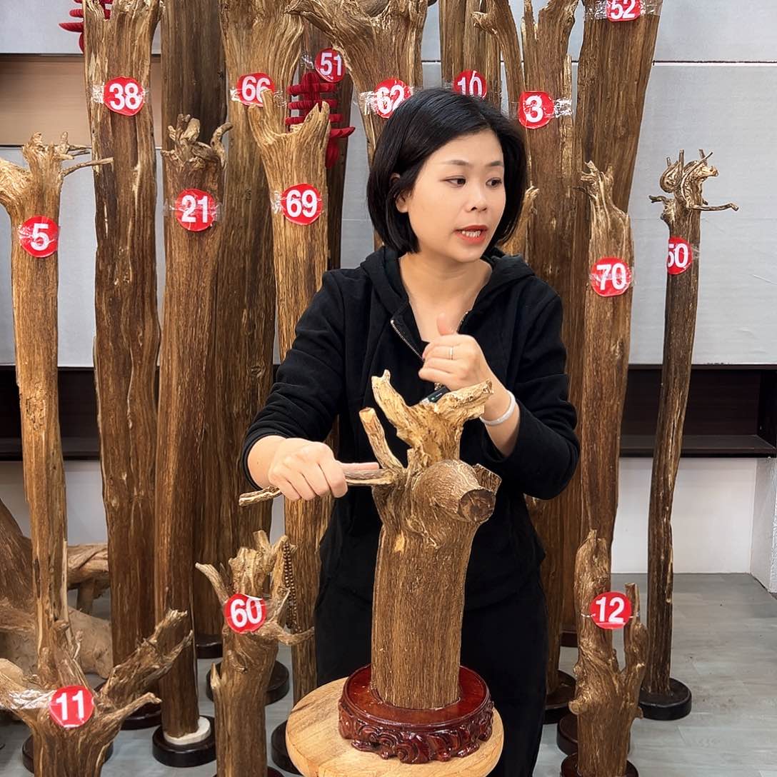 沉香摆件海南沉香摆件