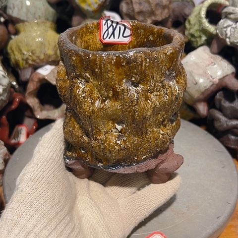 粗陶花盆制作就这样了，现在