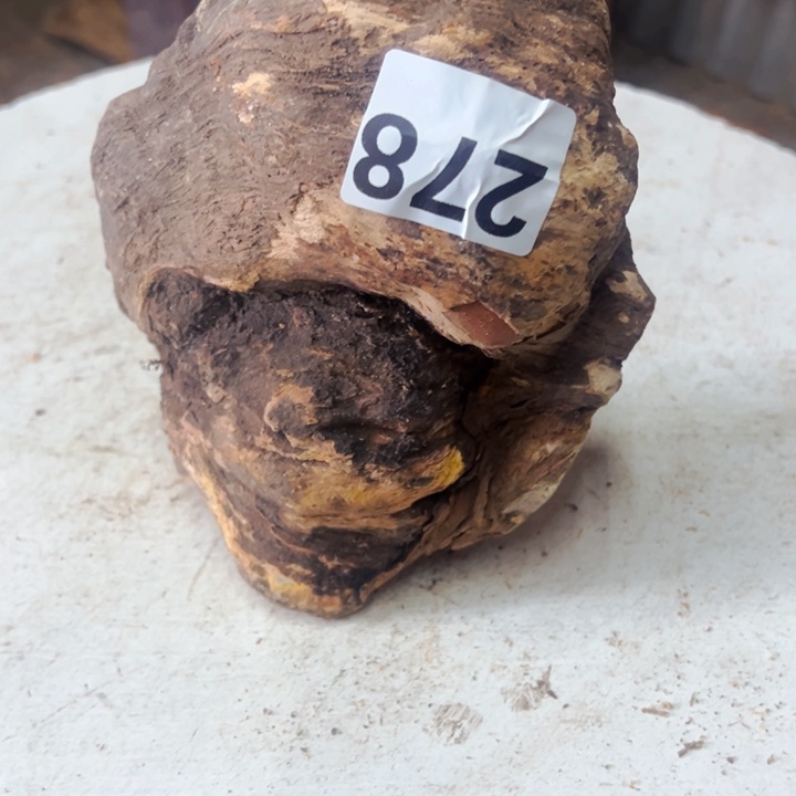 用***4松木琥珀的颜色是