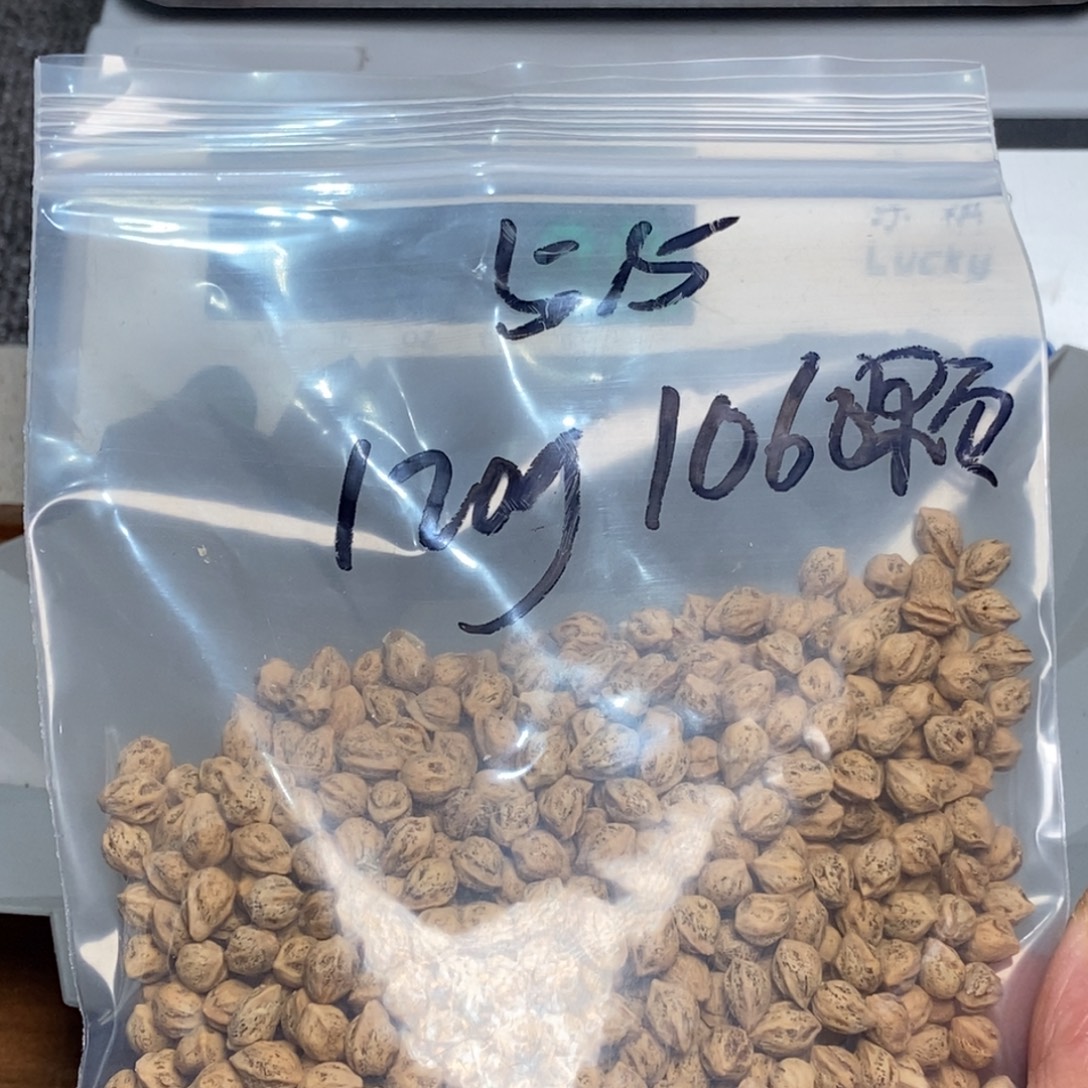 吊坠柏香籽/百香籽