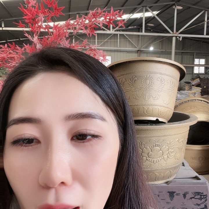 圆40口径花盆两个