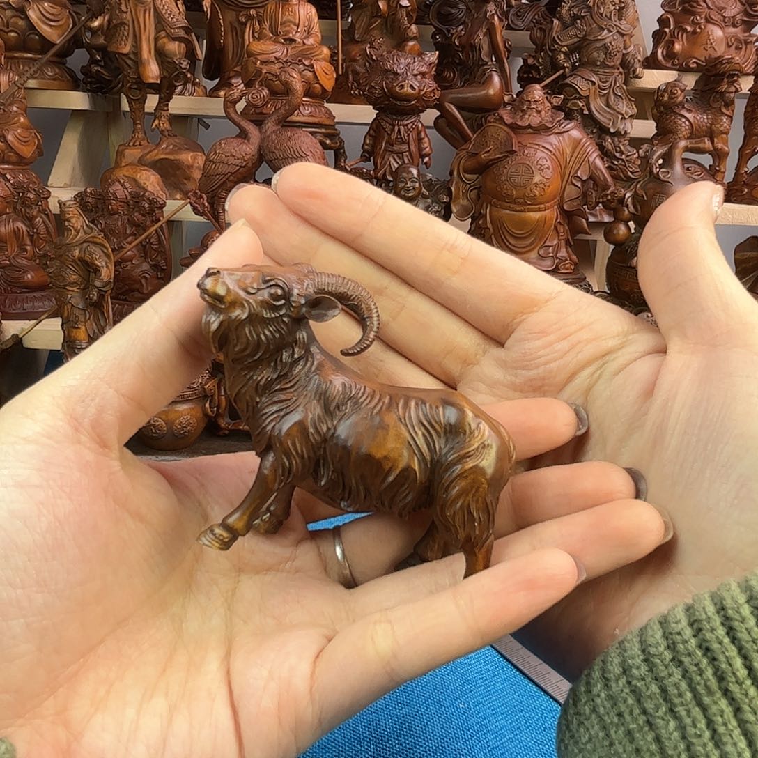 黄杨木小叶黄杨木