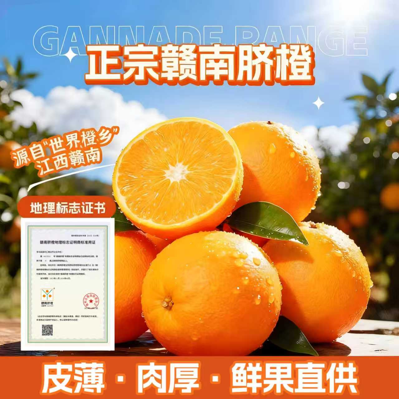 正宗赣南脐橙新鲜现摘应季水果产地直发10斤京东包邮