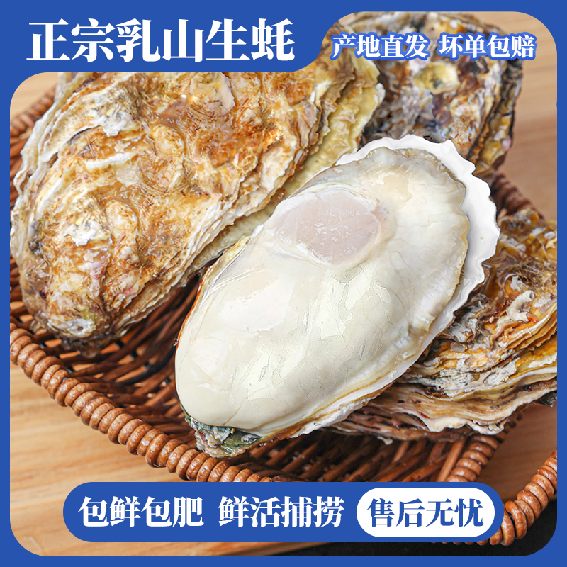 正宗乳山生蚝精品生蚝壳薄肉肥刺身级免洗新鲜牡蛎蒜蓉烧烤10斤