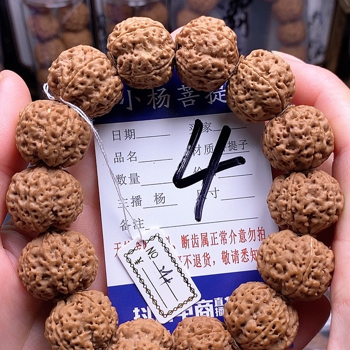 手串金刚菩提21.铁骨双龙