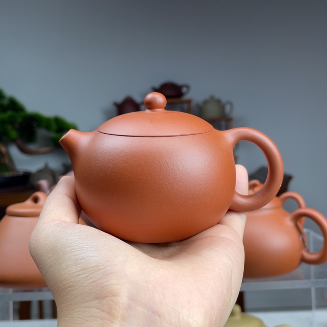 【闪购商品】紫砂茶壶村*生料朱泥西施容量160cc