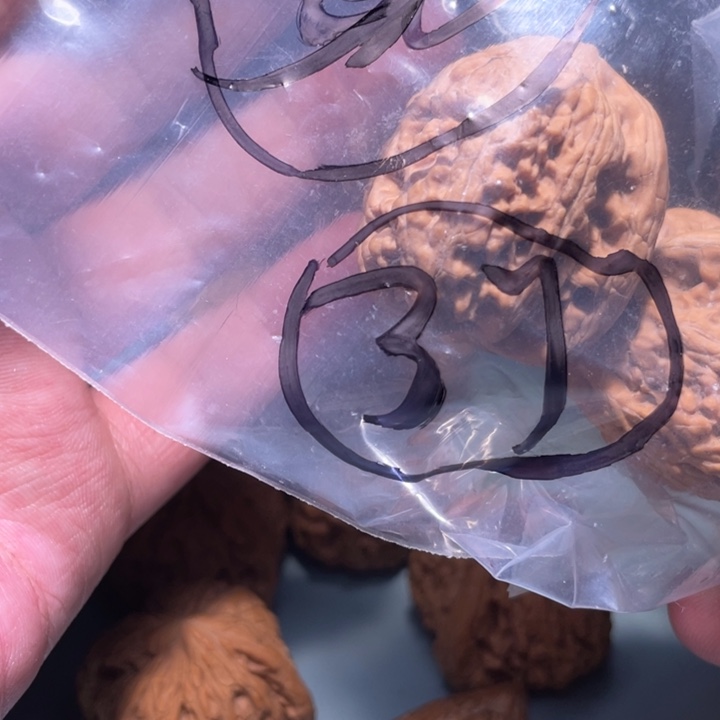 文玩核桃吊坠37呃呃呃