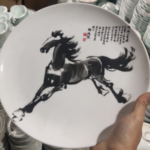 其他瓷10寸盘一个