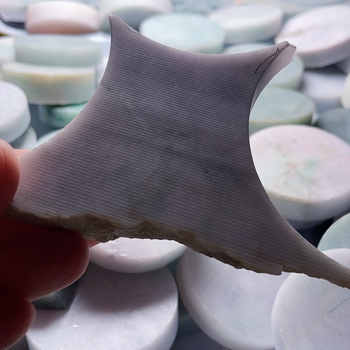 翡翠颈饰未镶嵌毛料1