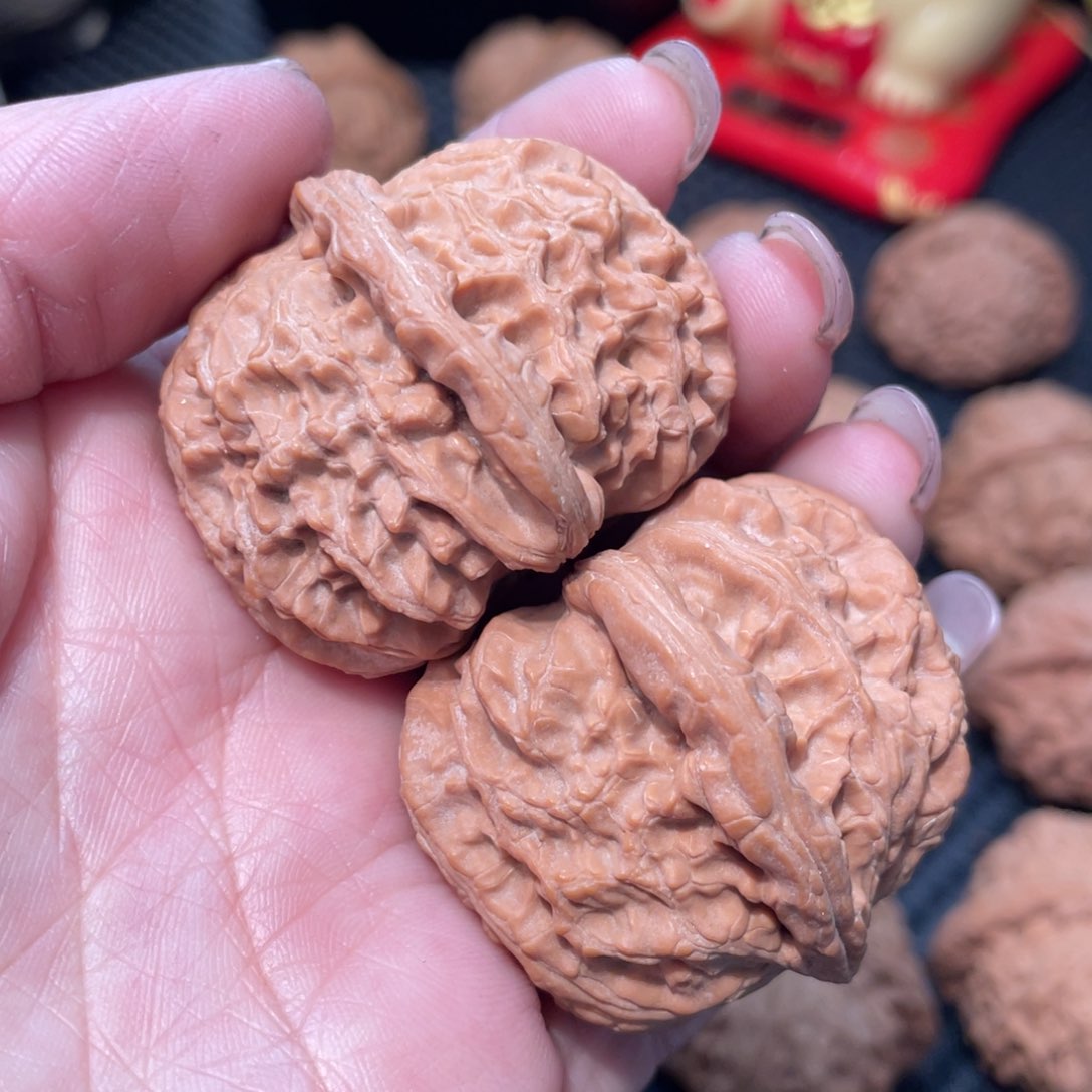 文玩核桃把件白狮子4.0全品