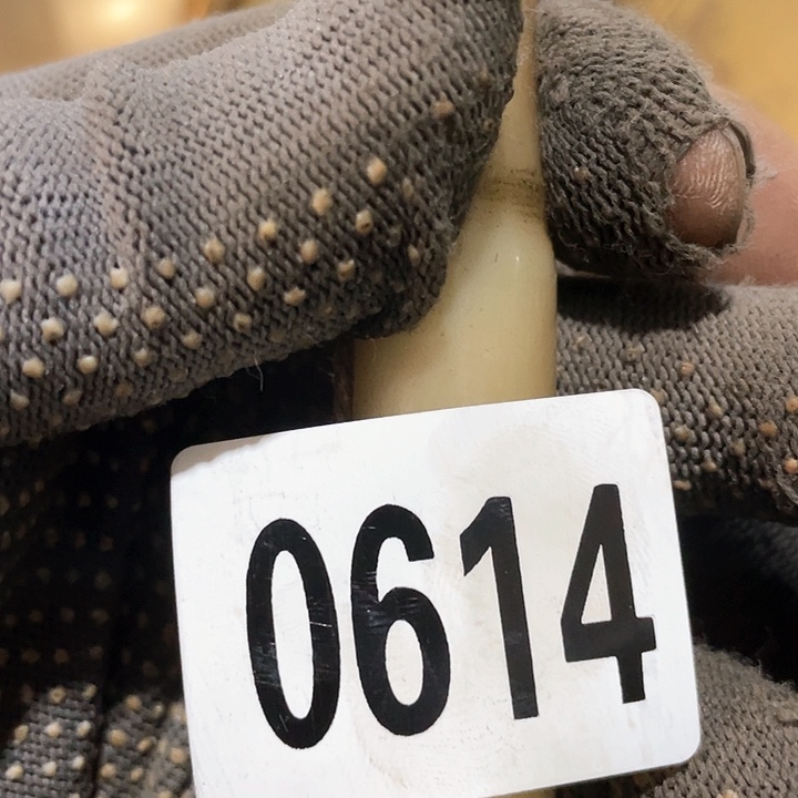 ？****朵普光明的普光明的0614