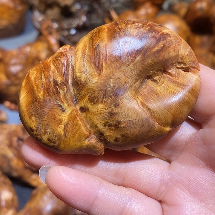 柏木太行崖柏陈化