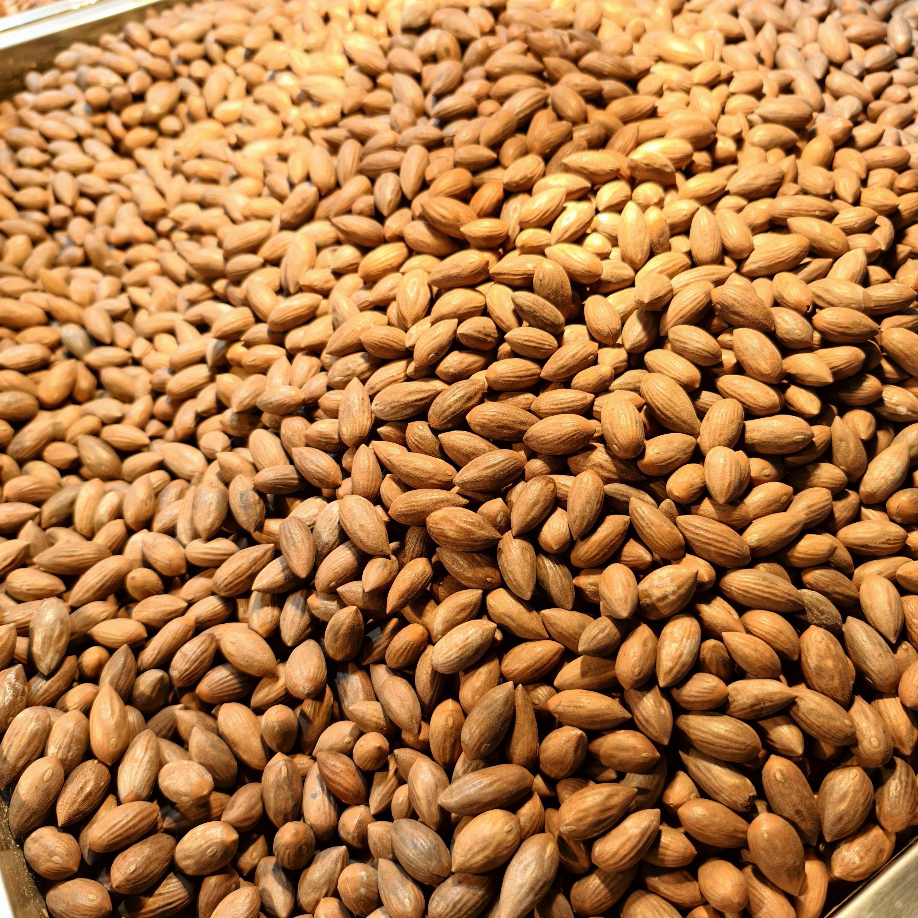 香榧  约 500g/份量