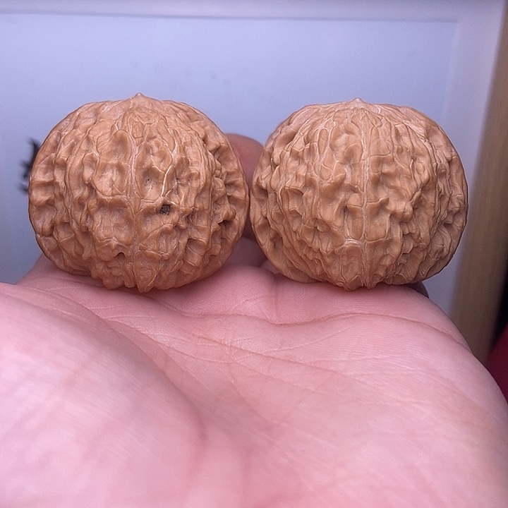 核桃全品小尺正磨