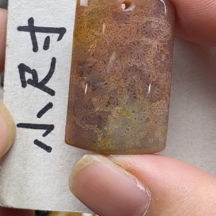 硅化珊瑚（珊瑚玉）未镶嵌颈饰