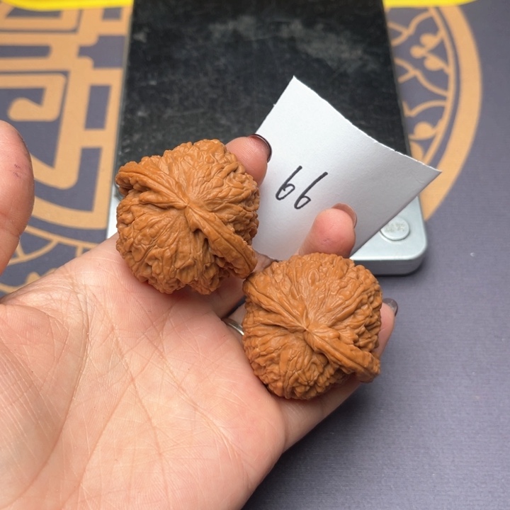 文玩核桃把件42白狮子 66号